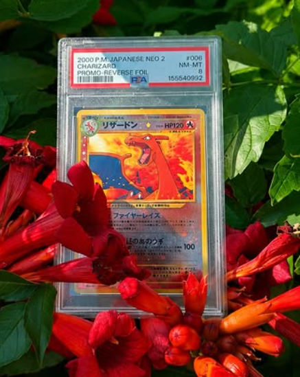 Charizard PSA 8
